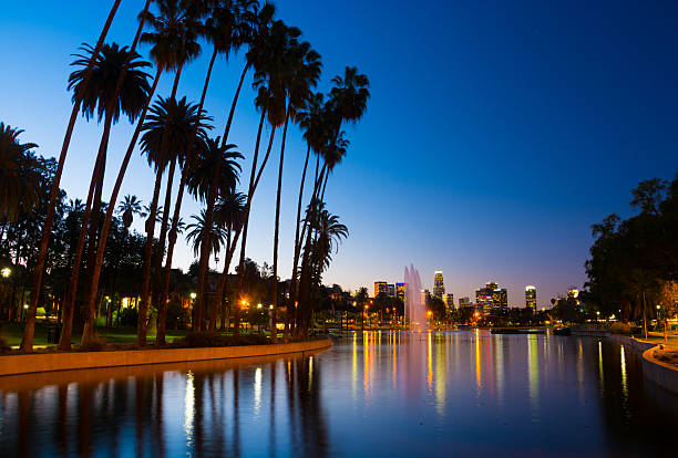 istock Los Angeles skyline, lake, and palm trees at dawn 469548818