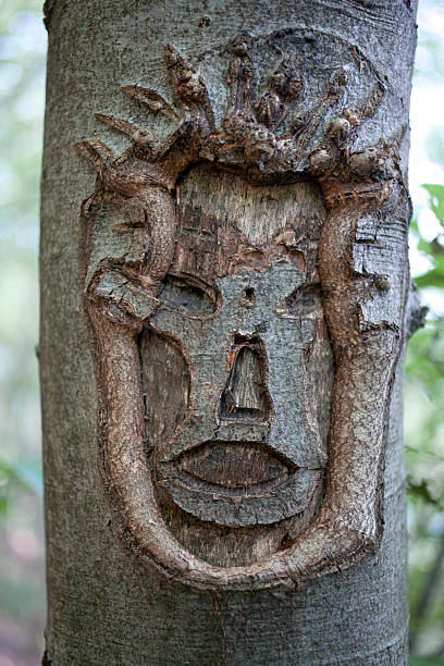 istock Face carved in the bark of a tree 469549412