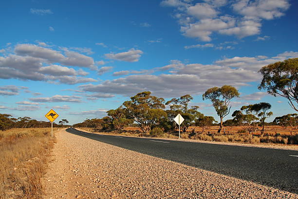 istock Australian outback road with kangaroo crossing 469551410