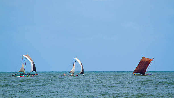 istock Fishermen sailing boat in Negombo, Sri Lanka 469554382