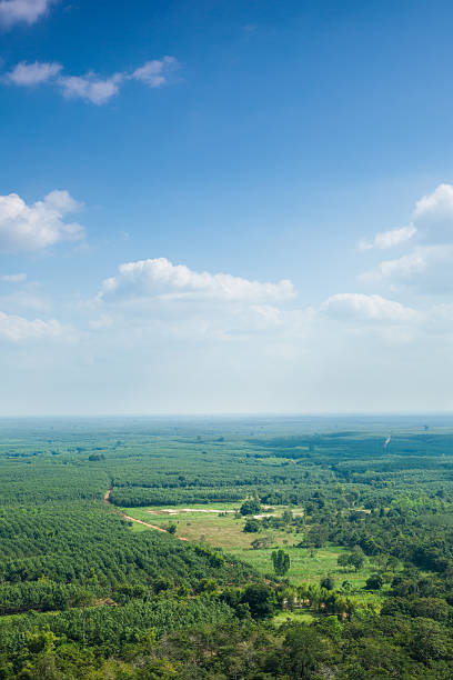 istock Forest and agricultural areas 469558217