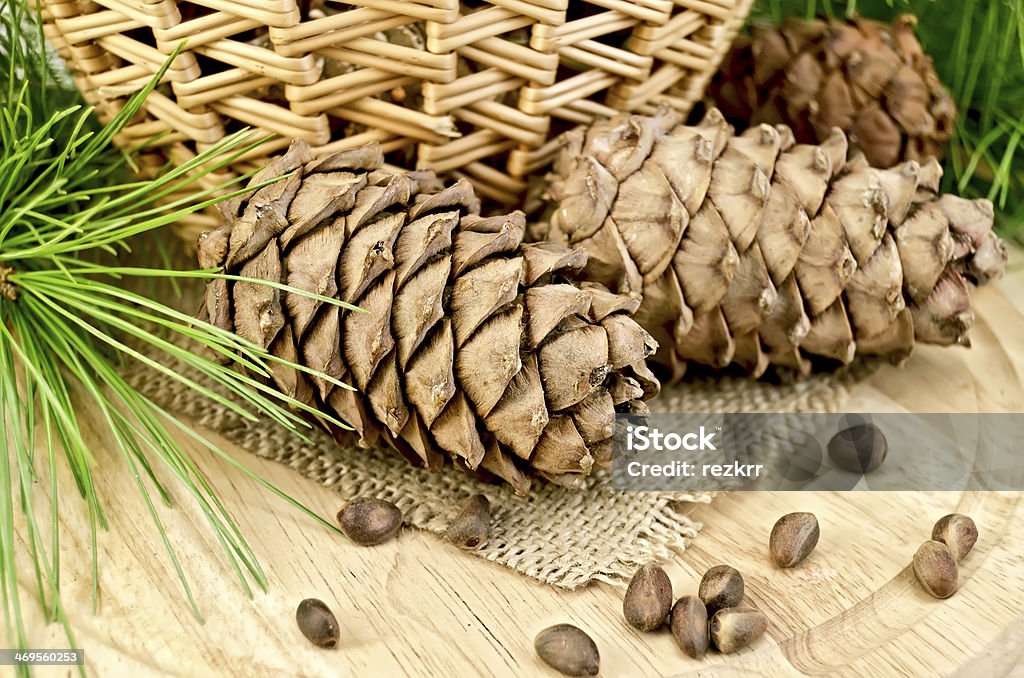 Cedar Hütchen mit einem Korb - Lizenzfrei Abnehmen Stock-Foto