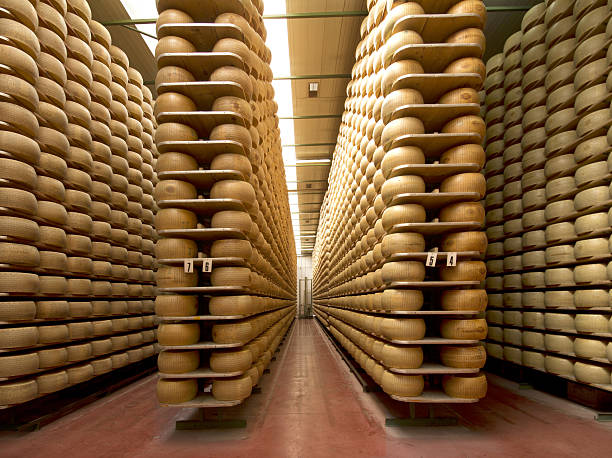 wheels of cheese wheels of parmesan on the racks of a storehouse grana padano stock pictures, royalty-free photos & images