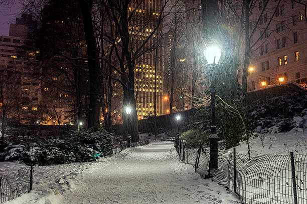 istock Central Park, New York City 469564405