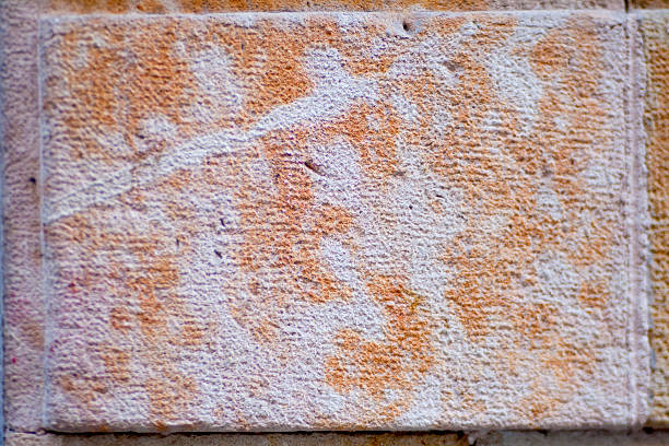 érodé stone fond - brick wall brick surrounding wall wall photos et images de collection