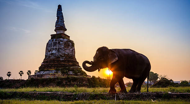 istock Sunset Thai countryside in Thailand 469565375