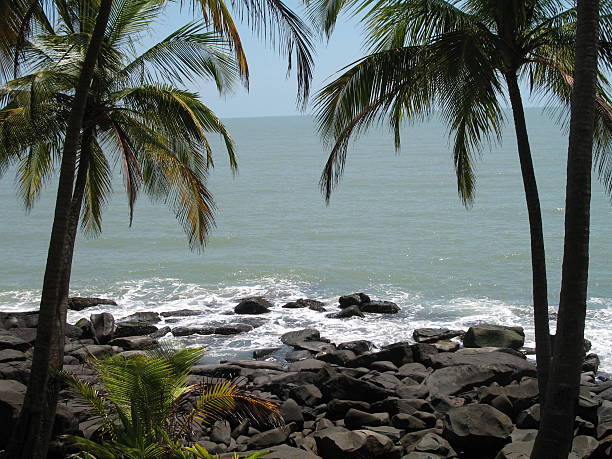 istock French Guiana rocky coastline and palm trees 469567935
