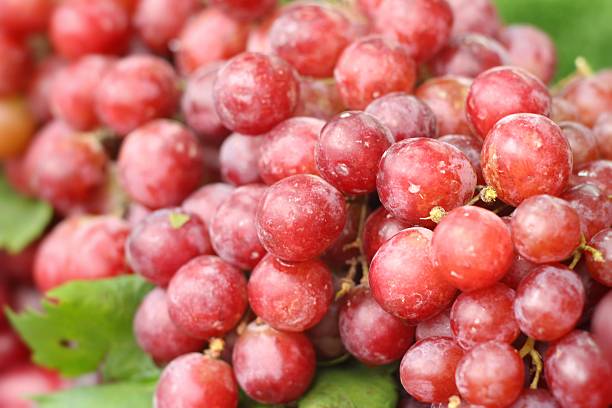 istock Fresh grapes at the market 469568458