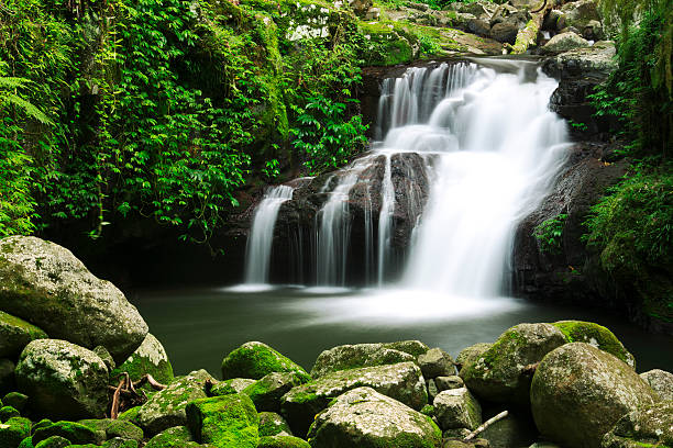 wunderschöne wasserfall - tropical rainforest waterfall rainforest australia stock-fotos und bilder