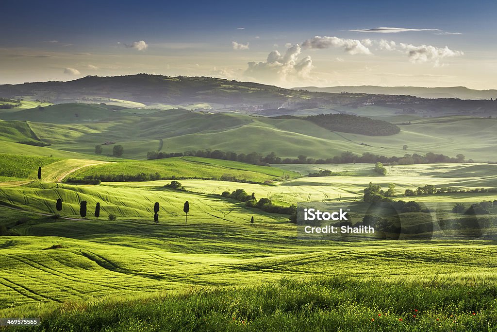 Beautiful view of the sunset over green valley Beautiful view of the sunset over the green valley. Pienza Stock Photo
