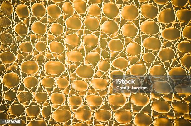 Old Grunge Leather Background Or Texture Stock Photo - Download Image Now - Abstract, Animal Body Part, Animal Skin