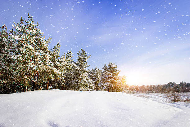 istock Winter landscape. Composition of nature. 469577463