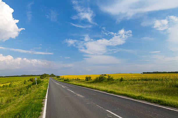 istock Road through the yellow sunflower field 469577620
