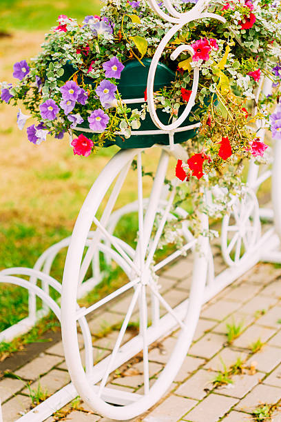istock White Decorative Bicycle Parking In Garden 469587898