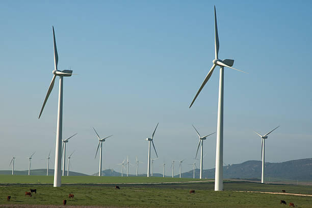 istock Windmills of Spain 469589291