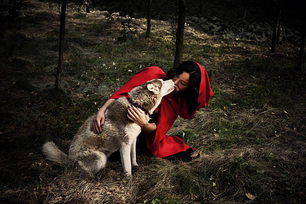istock red riding hood and the wolf 469590670