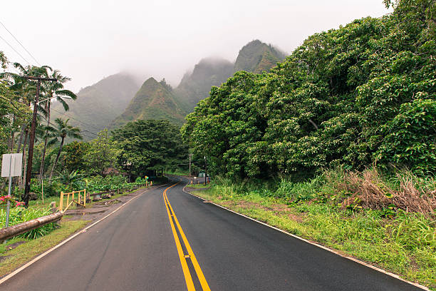 istock Iao Valley State Park on Maui Hawaii 469591300