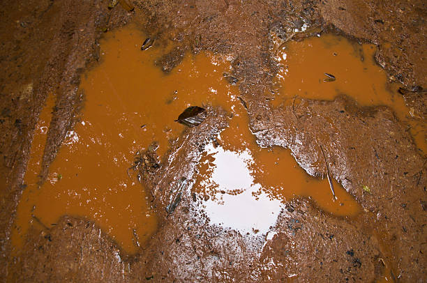 istock Mud Road trough rubber plantation after rain 469594034