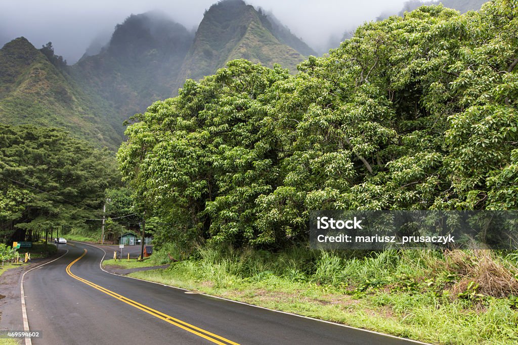 Iao Valley State Park on Maui Hawaii 2015 Stock Photo