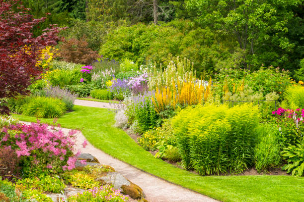 istock Colorful summer garden 469597060