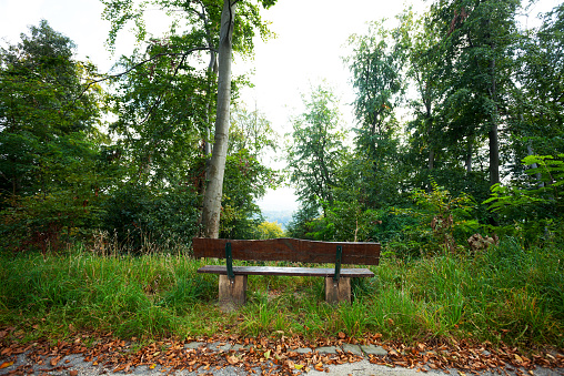 Bench over valley Ruhr and woods, view from upper area in Essen Kettwig over vallye in summer. View til Bergisches Land.