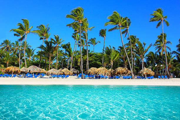 punta cana, república dominicana - perfection horizon over land season horizon fotografías e imágenes de stock