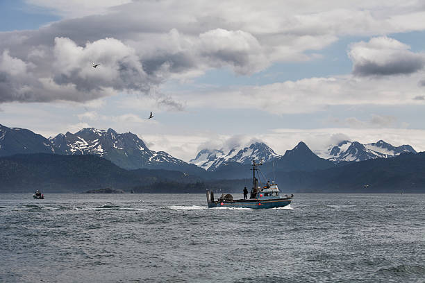 istock Fishing in the Kachemak Bay 469606079