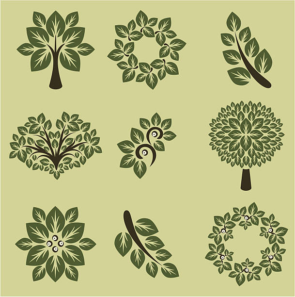 Branch Silhouettes vector art illustration