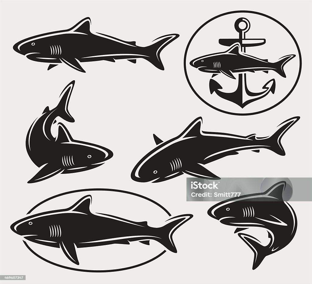 Shark Types Vector Shark Set Vector Stock Illustration - Download Image Now - Abstract ...