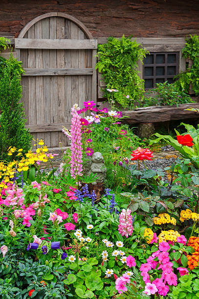 Colorful flower garden in front of cottage Landscaped backyard of a old house with flowering garden perennial photos stock pictures, royalty-free photos & images