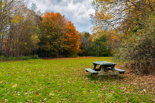 istock Bench in the autumn park 469611938