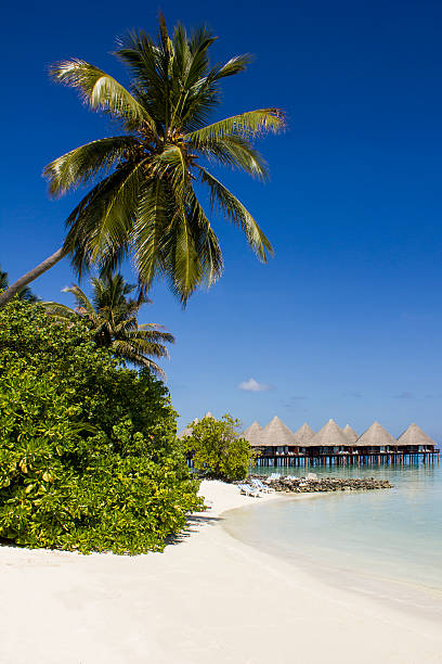 istock The Maldives - Eden on Earth 469614466