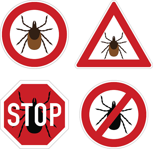 Tick parasite warning sign vector art illustration