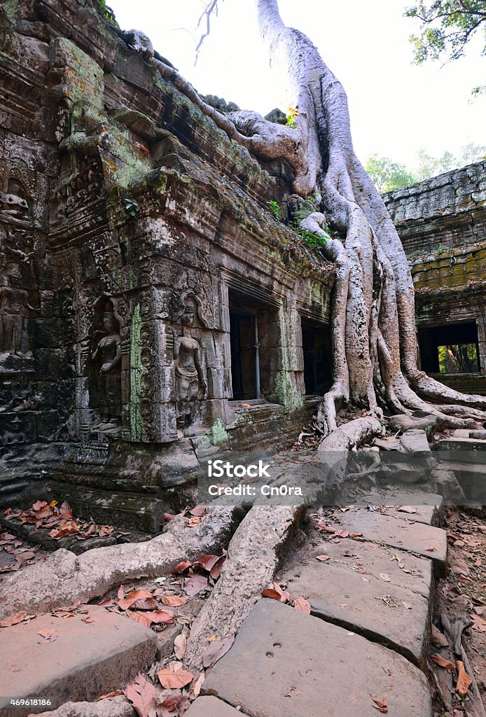 Ta Prohm temple with big tree and roots. Ta Prohm temple with big tree and roots. Ta Prohm is also known as jungle temple. Its one of the famous ancient temple in Angkor wat temple complex in Siem Reap, Cambodia. 2015 Stock Photo