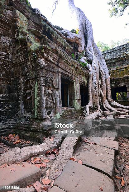 Ta Prohm Temple With Big Tree And Roots Stock Photo - Download Image Now - 2015, Adventure, Ancient