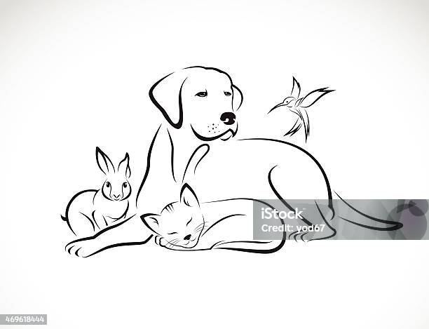 Vector Group Of Pets Dog Cat Bird Rabbit Stock Illustration - Download Image Now - Dog, Domestic Cat, Outline