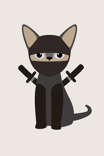 Fashion portrait of cat, ninja Cat