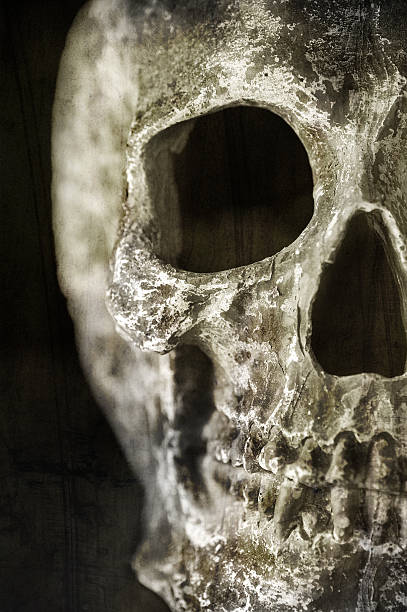 istock Close up of cracked and damaged human skull, grunge effect 469621663