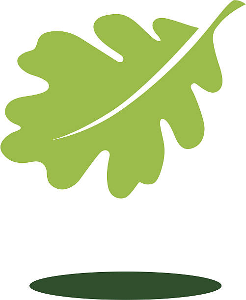 schwimmende leaf - eichenblatt stock-grafiken, -clipart, -cartoons und -symbole