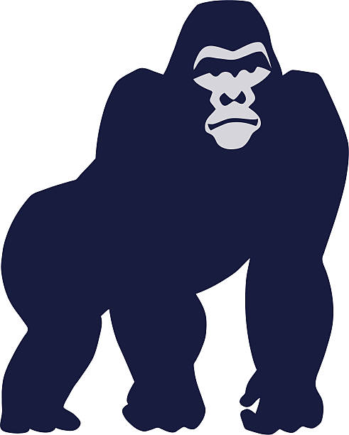 A cartoon unhappy blue gorilla A gorilla's looking at you angrily. A high rez jpeg & ai. file come with this image. Enjoy. huge silverback gorilla stock illustrations