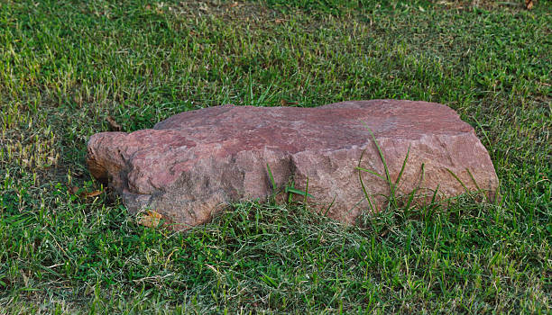 istock red stone in green grass 469631964