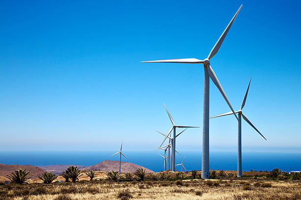 afrique wind turbines et le ciel en est - lanzarote canary islands volcano green photos et images de collection
