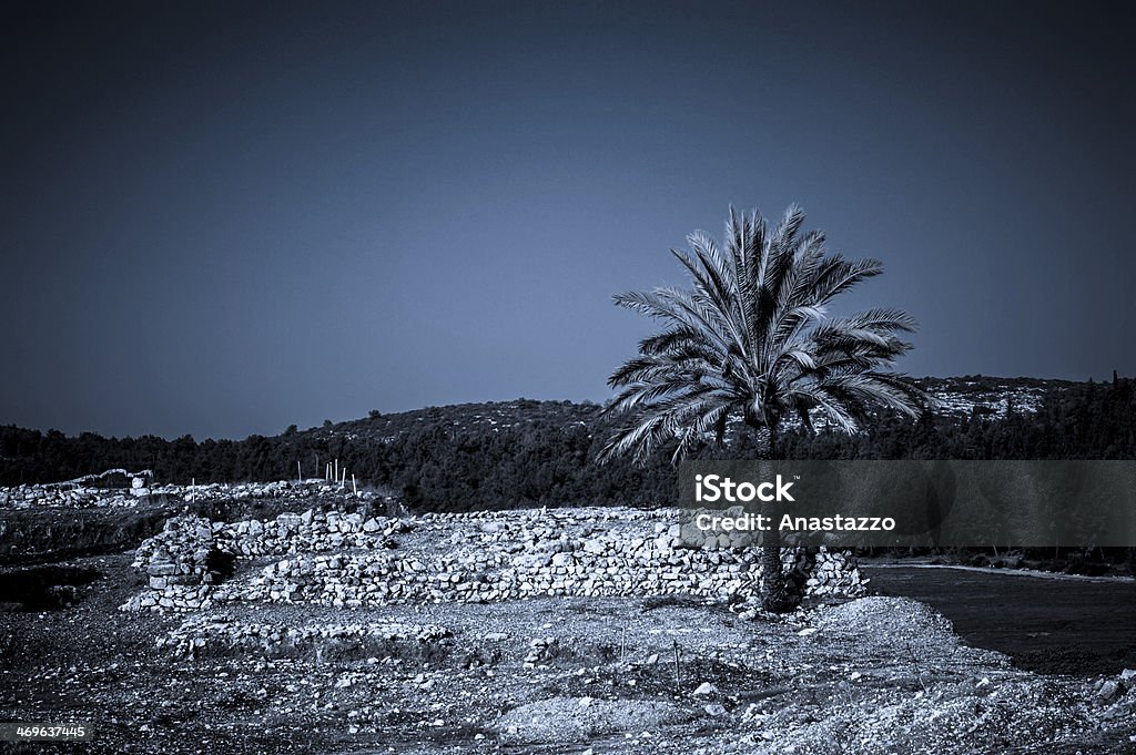 Palms in Armageddon, Israel Dramatic scenery at the archaeological site in Megiddo (Armageddon) in Israel - symbol of judgment day or Apocalypse. Archaeology Stock Photo