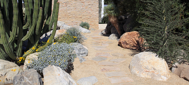 Example of arid Xeriscaping and water conservation used in gardening outside the yard  at curbside.  Sand,Cactus,rocks and boulders. All examples of plants that need very little water.  California.