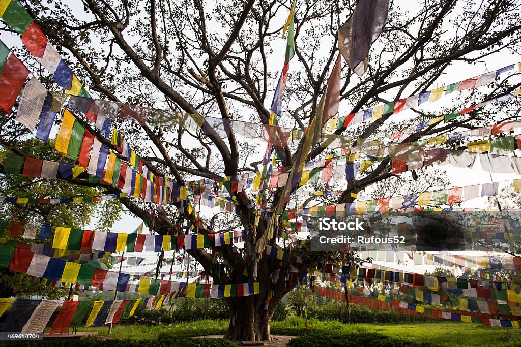 Buddhist praying flags in Lumbibi, Nepal 2015 Stock Photo