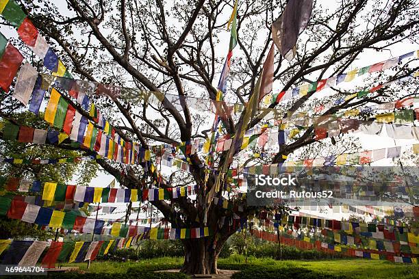 Buddhist Praying Flags In Lumbibi Nepal Stock Photo - Download Image Now - 2015, Awe, Blue