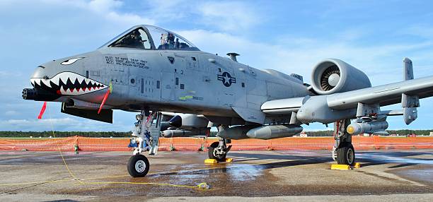 An A-10 Warthog/Thunderbolt II Panama City, USA - April 11, 2015: An Air Force A-10 Warthog/Thunderbolt II fighter jet parked on the flight line at Tyndall Air Force Base in April 2015. The A-10 is armed with an AGM-65 Maverick missile. a10 warthog stock pictures, royalty-free photos & images