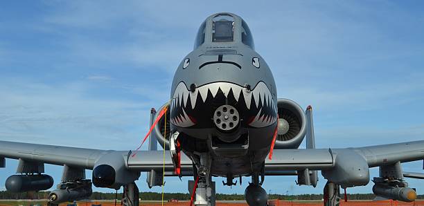 Head-on of A-10 Warthog/Thunderbolt II Panama City, USA - April 11, 2015: Head-on view of an Air Force A-10 Warthog/Thunderbolt II fighter jet parked on the flight line at Tyndall Air Force Base in April 2015. The A-10 is armed with an AGM-65 Maverick missile. a10 warthog stock pictures, royalty-free photos & images