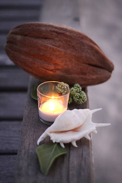 istock Calm Candle Scene with Coconut and Shell 469646088