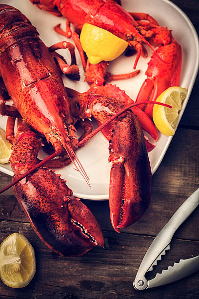 istock Cooked Lobster Garnished with Lemon and Parsley 469648654
